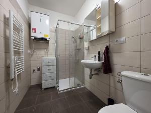 Pronájem bytu 1+1, Česká Lípa, Kozákova, 55 m2