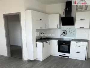 Pronájem bytu 2+kk, Ostrov, Lidická, 50 m2