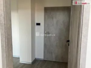 Pronájem bytu 2+kk, Ostrov, Lidická, 50 m2