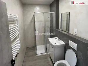 Pronájem bytu 2+kk, Ostrov, Lidická, 50 m2