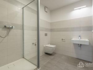 Prodej apartmánu, Krajková, 250 m2