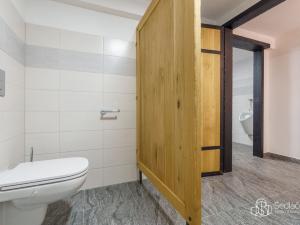 Prodej apartmánu, Krajková, 250 m2