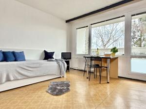 Prodej bytu 2+kk, Brno, Vltavská, 45 m2