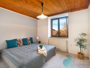 Prodej vícegeneračního domu, Trhové Sviny, Žižkovo náměstí, 340 m2