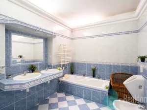 Prodej vícegeneračního domu, Trhové Sviny, Žižkovo náměstí, 340 m2