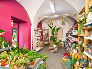 Prodej vícegeneračního domu, Trhové Sviny, Žižkovo náměstí, 340 m2