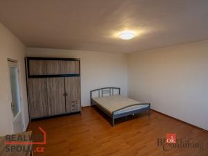 Pronájem bytu 1+1, Plzeň - Jižní Předměstí, U Borského parku, 42 m2