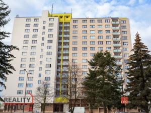 Pronájem bytu 1+1, Plzeň - Jižní Předměstí, U Borského parku, 42 m2