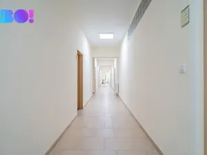 Pronájem kanceláře, Opava, 162 m2