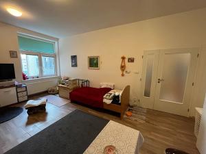 Prodej bytu 1+1, Opava, Sokolovská, 47 m2