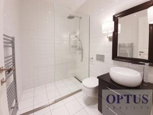 Pronájem bytu 5+kk, Praha - Staré Město, Dušní, 172 m2