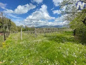 Prodej vily, Monte San Savino, Itálie, 250 m2
