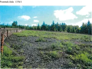 Prodej lesa, Česká Bělá, 18552 m2