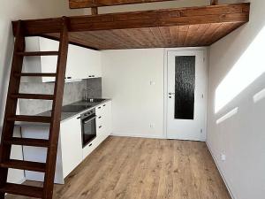 Prodej bytu 1+kk, Ostrava - Přívoz, Palackého, 25 m2