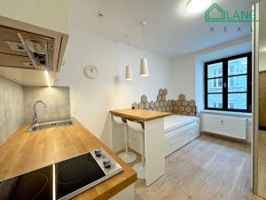 Pronájem bytu 1+kk, Brno, Francouzská, 18 m2