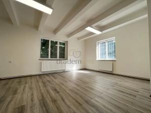 Pronájem kanceláře, Jindřichův Hradec, U Dolního Skrýchova, 97 m2