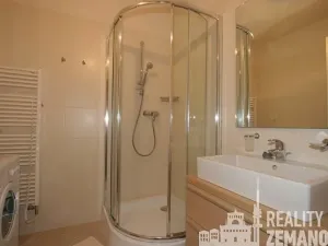 Pronájem bytu 1+kk, Praha - Vinohrady, Italská, 49 m2