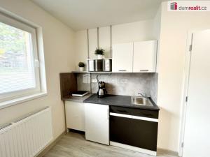 Pronájem bytu 1+kk, Kačice, K zahradě, 18 m2