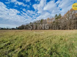 Prodej pozemku pro bydlení, Baška - Kunčičky u Bašky, 1000 m2