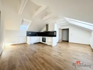 Pronájem bytu 2+kk, Opava - Předměstí, Mařádkova, 55 m2