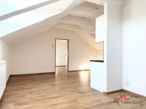 Pronájem bytu 2+kk, Opava - Předměstí, Mařádkova, 55 m2