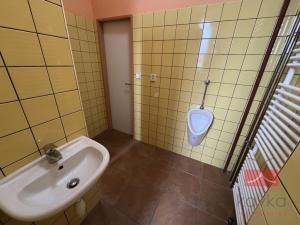 Pronájem kanceláře, Světlá nad Sázavou, V Polích, 160 m2