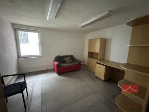 Pronájem výrobních prostor, Světlá nad Sázavou, V Polích, 148 m2