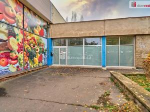 Prodej obchodního prostoru, Ústí nad Labem - Ústí nad Labem-centrum, SNP, 191 m2