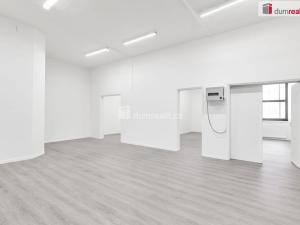 Prodej obchodního prostoru, Ústí nad Labem - Ústí nad Labem-centrum, SNP, 191 m2