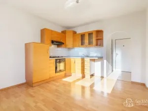 Prodej bytu 1+1, Nové Sedlo, Revoluční, 36 m2