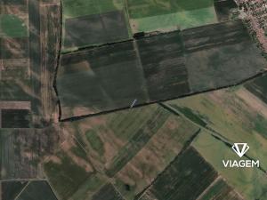 Prodej podílu pole, Prušánky, 452 m2