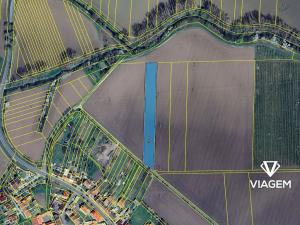 Prodej podílu pole, Mořice, 668 m2