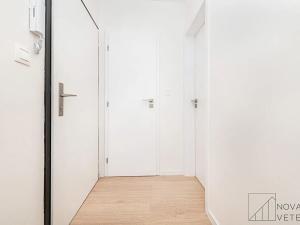 Pronájem bytu 2+kk, Praha - Žižkov, Květinková, 50 m2