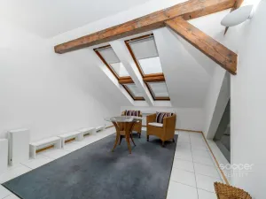 Pronájem bytu 4+kk, Praha - Holešovice, Dukelských hrdinů, 170 m2