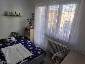 Prodej bytu 2+1, Slaný, Stehlíkova, 56 m2