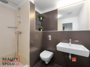 Pronájem bytu 2+kk, Praha - Smíchov, Švédská, 42 m2