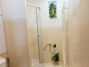 Prodej bytu 3+1, Plzeň, Heyrovského, 62 m2