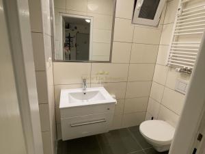 Prodej bytu 1+kk, Praha - Žižkov, Přemyslovská, 38 m2