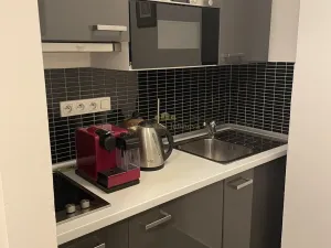 Prodej bytu 1+kk, Praha - Žižkov, Přemyslovská, 38 m2