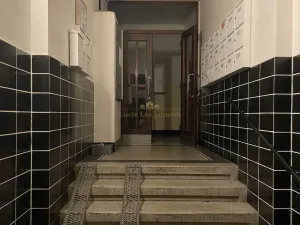 Prodej bytu 1+kk, Praha - Žižkov, Přemyslovská, 38 m2