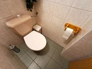 Prodej chalupy, Vysoké Veselí, 290 m2