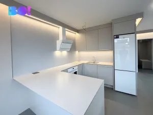 Pronájem bytu 2+kk, Ostrava, F. X. Riepla, 61 m2