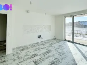 Pronájem bytu 2+kk, Ostrava, F. X. Riepla, 54 m2