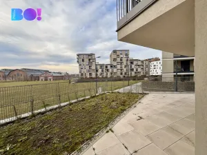 Pronájem bytu 2+kk, Ostrava, F. X. Riepla, 150 m2