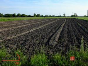 Prodej pozemku pro bydlení, Bohdašín, 3300 m2