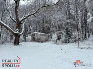 Prodej pozemku pro bydlení, Bohdašín, 3300 m2