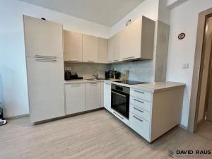 Pronájem bytu 2+kk, Brno, Merhautova, 50 m2