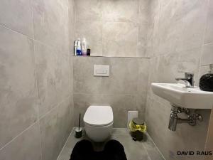 Pronájem bytu 2+kk, Brno, Merhautova, 50 m2