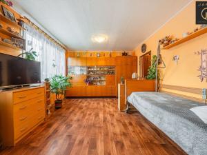 Prodej bytu 1+kk, Kladno, V Bažantnici, 33 m2