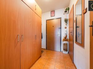 Prodej bytu 1+kk, Kladno, V Bažantnici, 33 m2